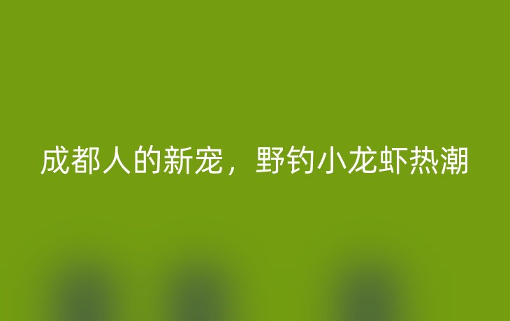 成都人的新宠，野钓小龙虾热潮