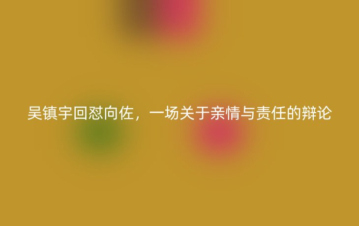 吴镇宇回怼向佐，一场关于亲情与责任的辩论