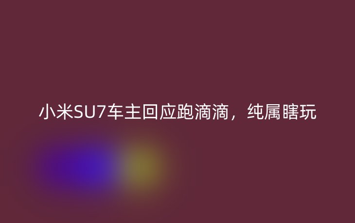 小米SU7车主回应跑滴滴，纯属瞎玩