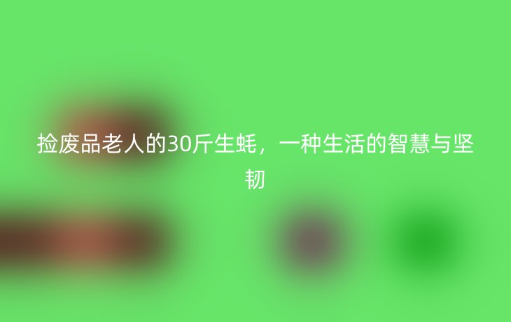 捡废品老人的30斤生蚝，一种生活的智慧与坚韧