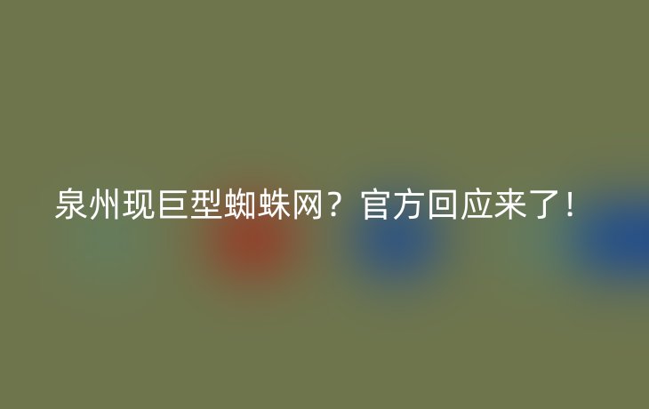 泉州现巨型蜘蛛网？官方回应来了！