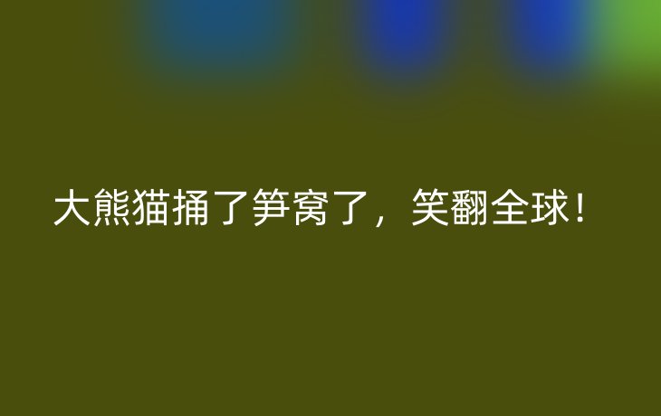 大熊猫捅了笋窝了，笑翻全球！