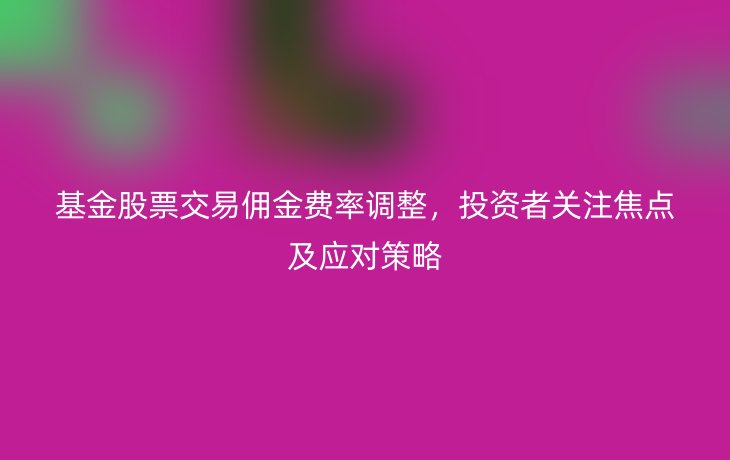 基金股票交易佣金费率调整，投资者关注焦点及应对策略