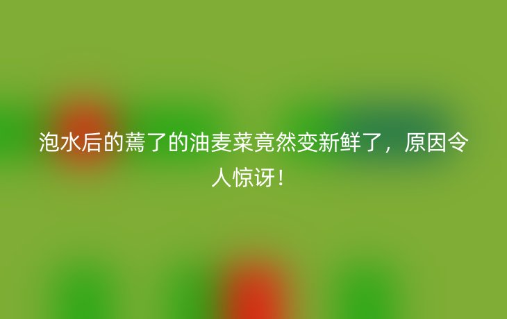 泡水后的蔫了的油麦菜竟然变新鲜了，原因令人惊讶！