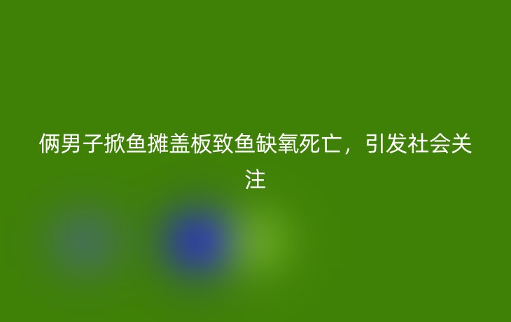 俩男子掀鱼摊盖板致鱼缺氧死亡，引发社会关注