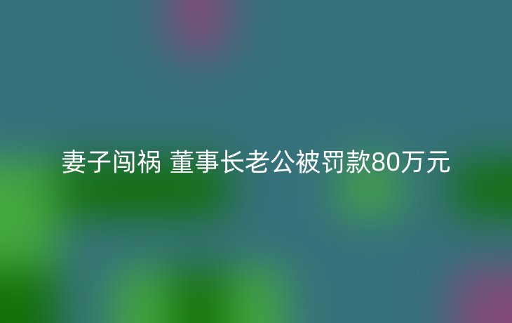 妻子闯祸 董事长老公被罚款80万元