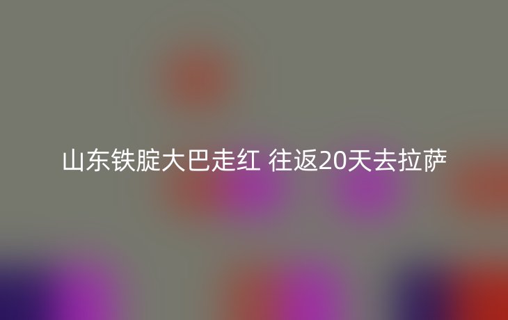 山东铁腚大巴走红 往返20天去拉萨