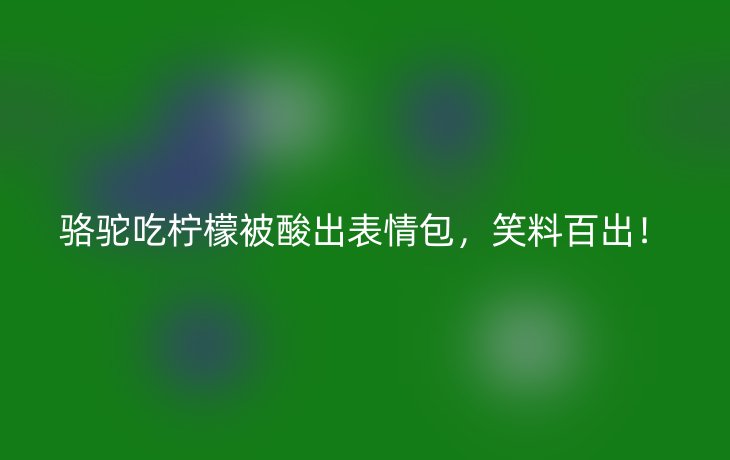 骆驼吃柠檬被酸出表情包，笑料百出！