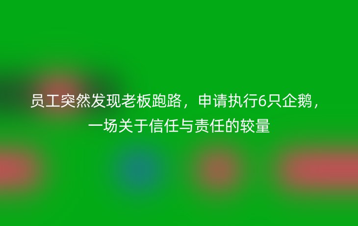 员工突然发现老板跑路，申请执行6只企鹅，一场关于信任与责任的较量