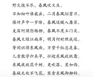 尼格买提以“撒贝宁”为题行飞花令，网友直呼“太有才”
