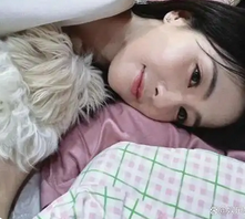 白鹿vlog曝光"潦草小狗"养成记