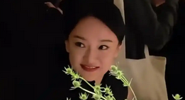 内娱中年女星风采各异，自然老去与颜值回春并存