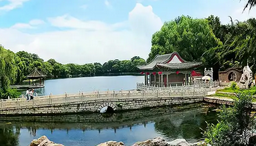 山东景区免票潮：春色满园待客来，免费畅游正当时