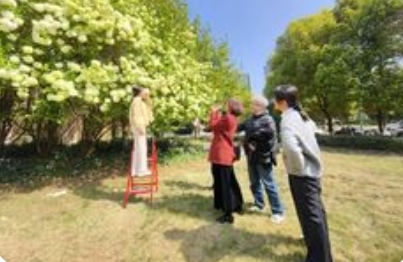 绣球花期全攻略：从初夏到深秋的调色盘魔术