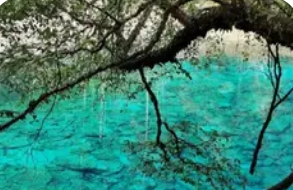 去九寨沟大概要多少钱预算指南：如何用合理花费邂逅人间仙境