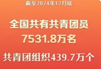 截至2024年底全国共有共青团员7531.8万名