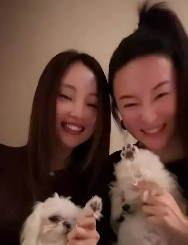 霍思燕李小璐老友相聚，抱小狗跳舞尽显深厚情谊