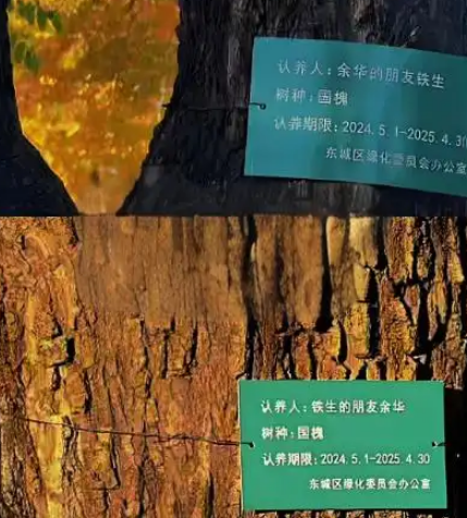网友喊话余华“续费认养树”