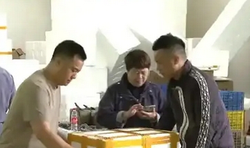 小龙虾价格暴跌近50%：供需失衡与产业转型的阵痛