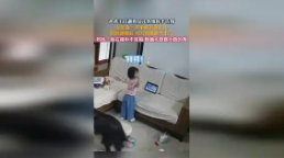 爸爸出门遛狗女儿挥手告别被无视，家庭趣事引网友共鸣