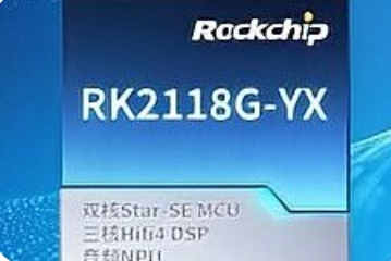 瑞芯微电子 RK2118G-YX 芯片获 DTS 双核心认证